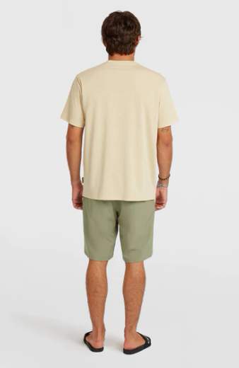 O'NEILL HYBRID SHORTS