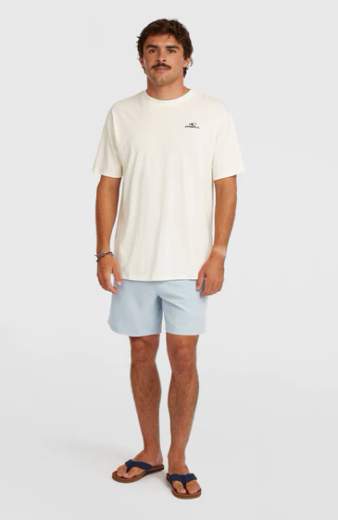 O'NEILL LOGO SWIMSHORTS
