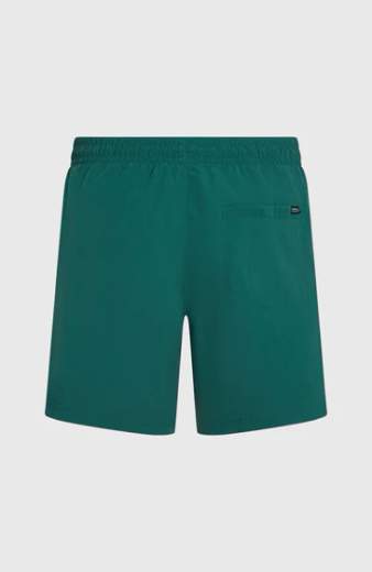 O'NEILL VERT SWIMSHORTS