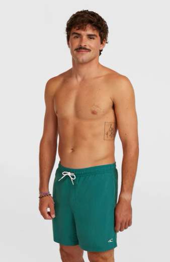 O'NEILL VERT SWIMSHORTS