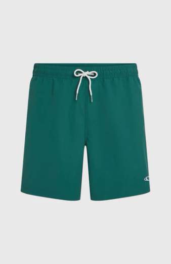 O'NEILL VERT SWIMSHORTS