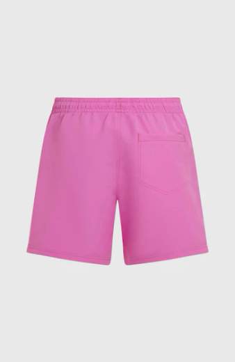 O'NEILL VERT SWIMSHORTS
