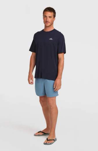 O'NEILL VERT SWIMSHORTS