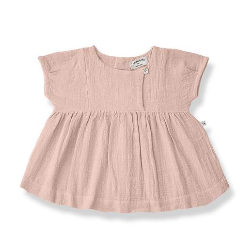 1+IN THE FAMILY GUALTA