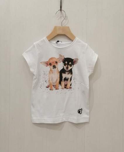 OJI CHIHUAHUA KID 