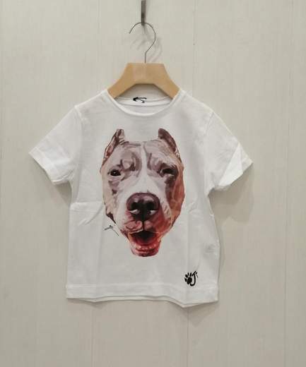 OJI PITBULL KID