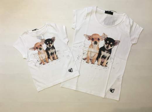 OJI CHIHUAHUA KID 