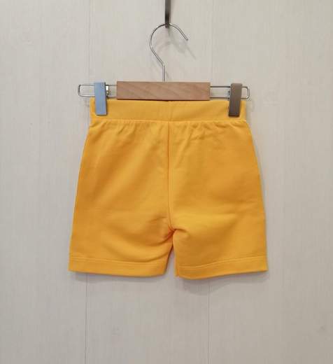LE PETIT COCO 91 L 1719