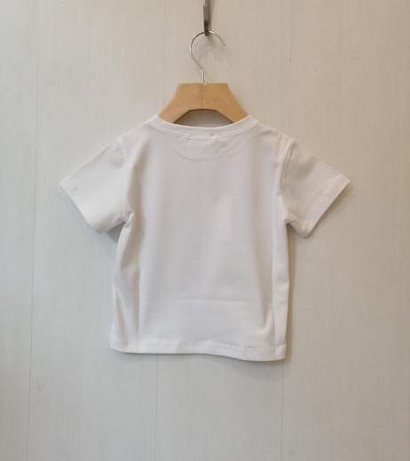 LE PETIT COCO 91 L 1743