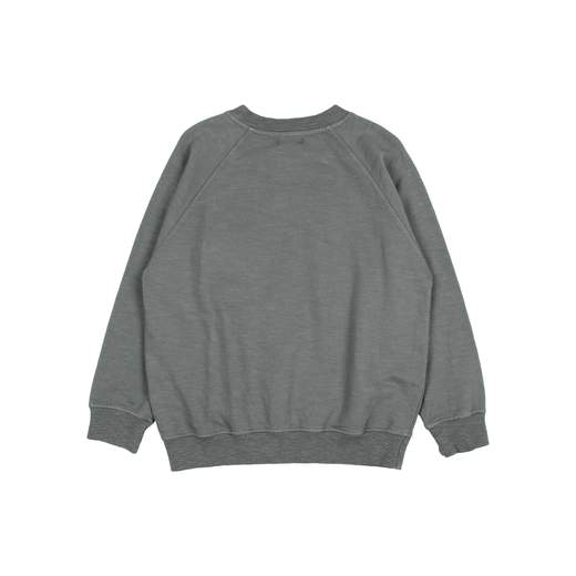 BUHO 5785
