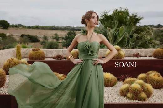 SOANI 202620