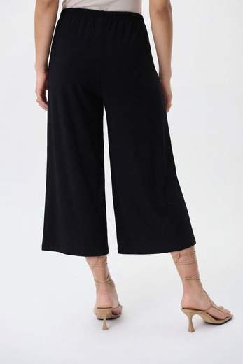 JOSEPH RIBKOFF 231140