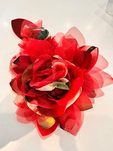 Sonia Pena Completo 1200157