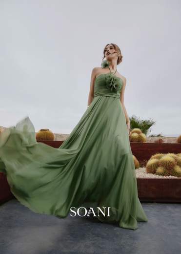 SOANI 202620