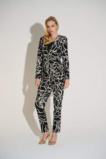 JOSEPH RIBKOFF 253781