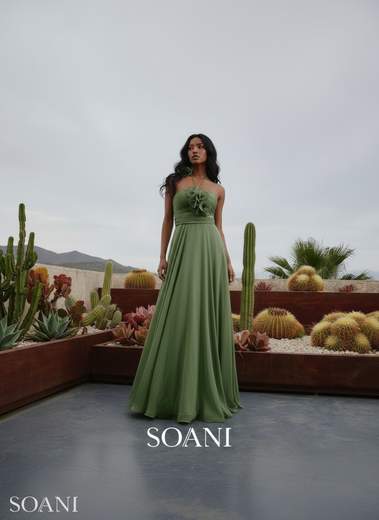 SOANI 202620