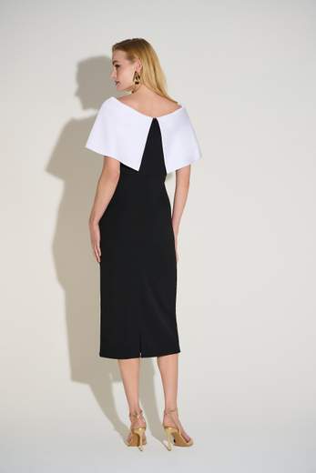 JOSEPH RIBKOFF 253726