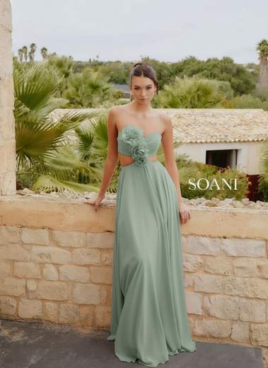 SOANI 202621