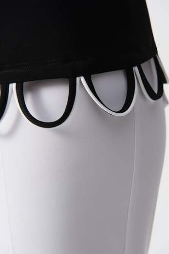 JOSEPH RIBKOFF 251133