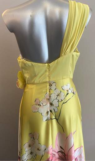 Sonia Pena Abito 1200164