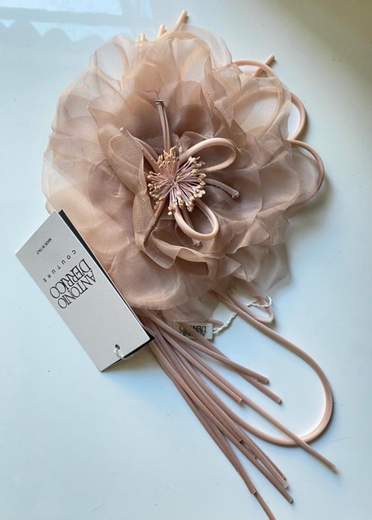 ANTONIO D'ERRICO F12011