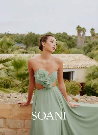 SOANI 202621