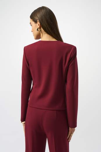 JOSEPH RIBKOFF 253071