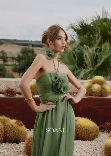 SOANI 202620