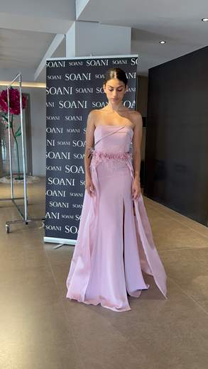 SOANI 202609