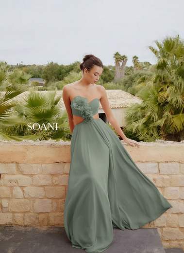 SOANI 202621