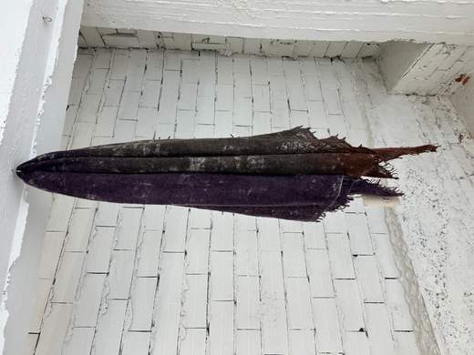 Fissore SCARF 1 26