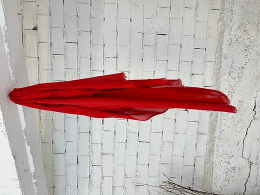 Faliero Sarti NIVES 26