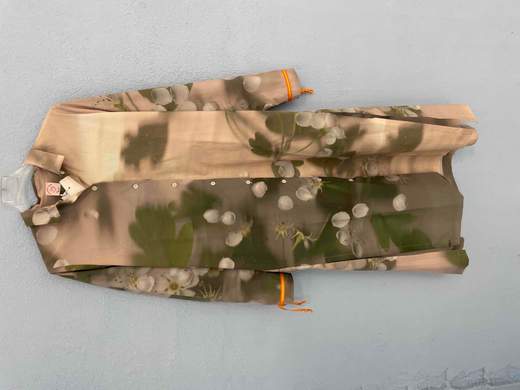 Colomba Leddi D103 24