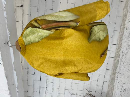Colomba Leddi PIUMINO