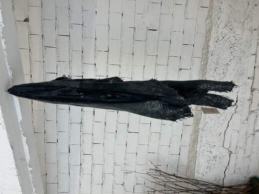 Fissore SCARF 1 26