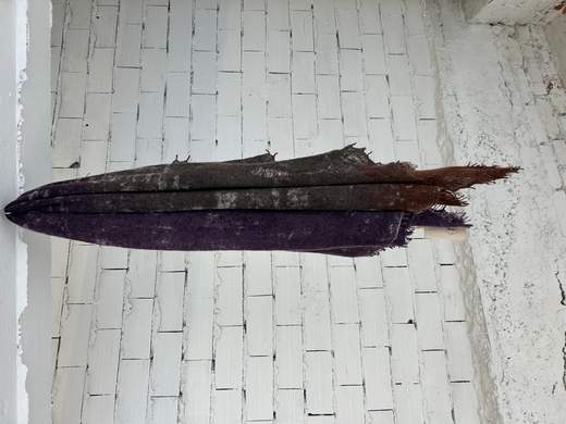 Fissore SCARF 1 26