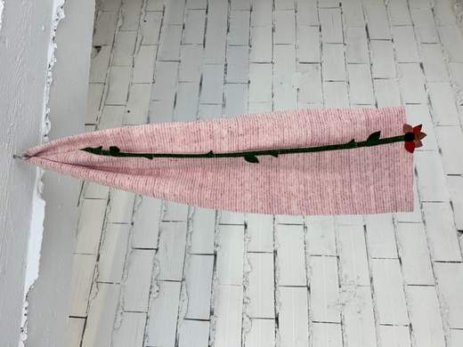 Diane de Clercq CAPRICORNUS 26