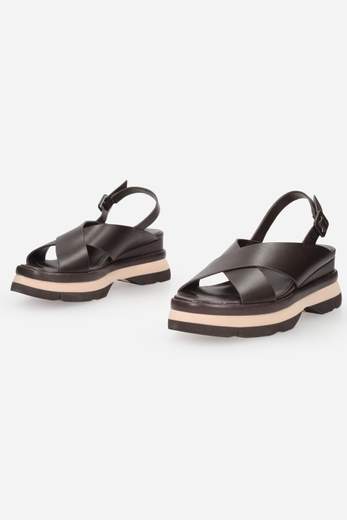 JEANNOT AJ523
