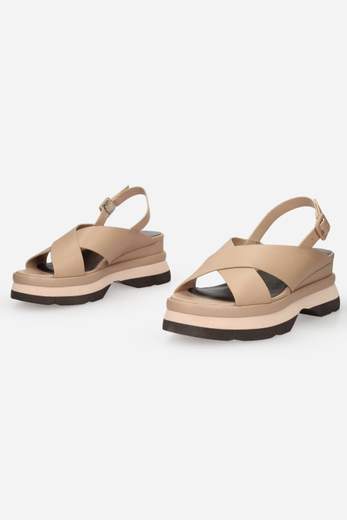 JEANNOT AJ523