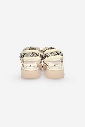 JEANNOT AJ501