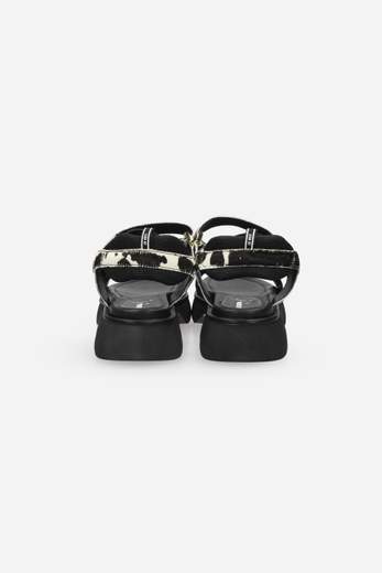 JEANNOT AJ504