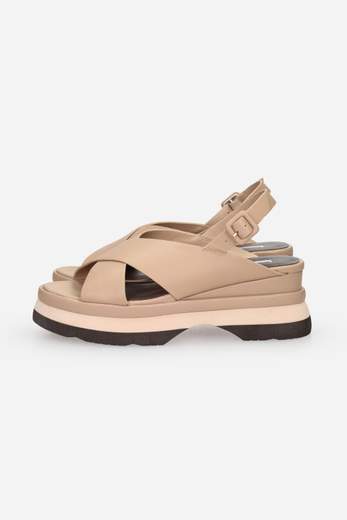 JEANNOT AJ523