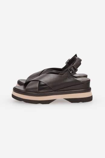 JEANNOT AJ523