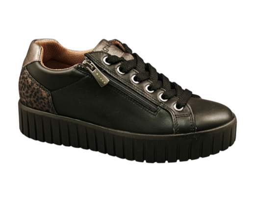 Igi&Co 2168600