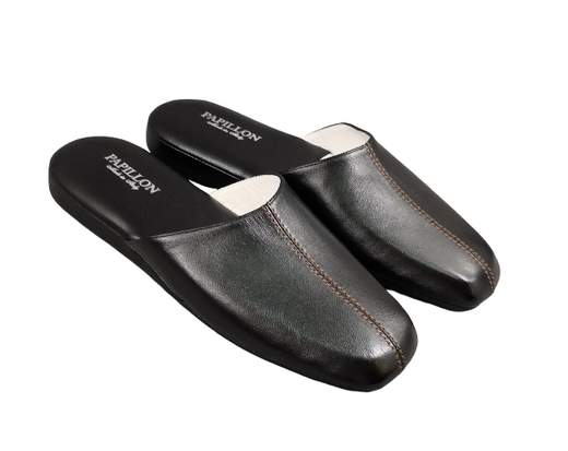 Papillon 9155