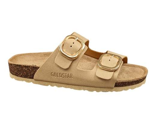 Goldstar GS800TL