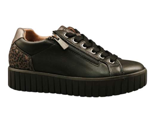 Igi&Co 2168600