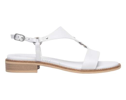 NeroGiardini E513420D