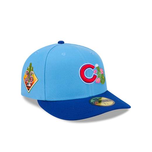 New Era 60793361