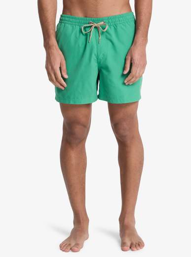 Quicksilver Everyday Volley 15